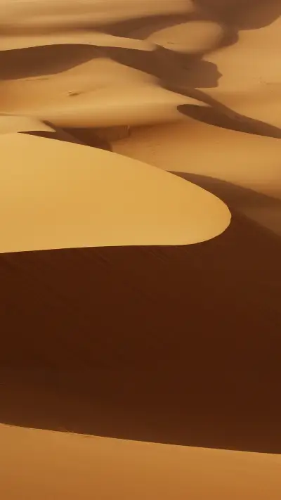 Moving dunes of sand on Sahara desert
