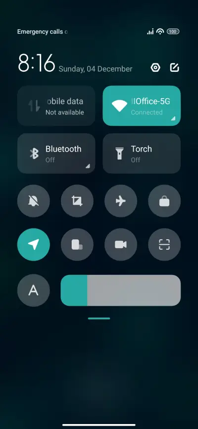 Mint Leaf - Screenshot 5