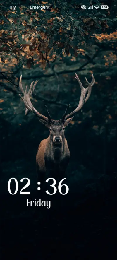 Wildlife