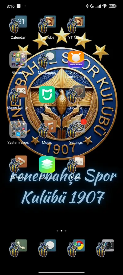 FENERBAHCE - Screenshot 3