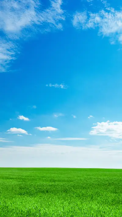 Green grass and blue sky