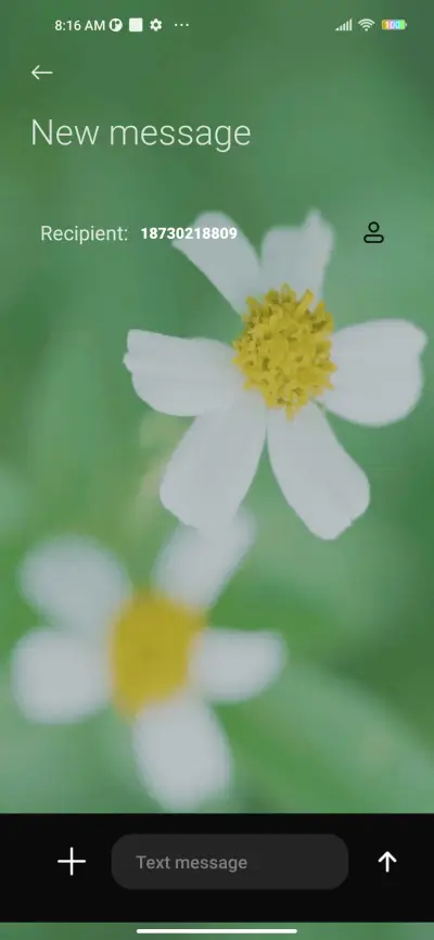 Green sunflower - Screenshot 8