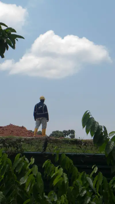 photo-1540039671641-ad99d86c68d0