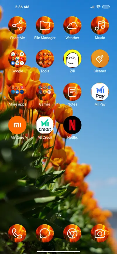 Tulip1 - Screenshot 3