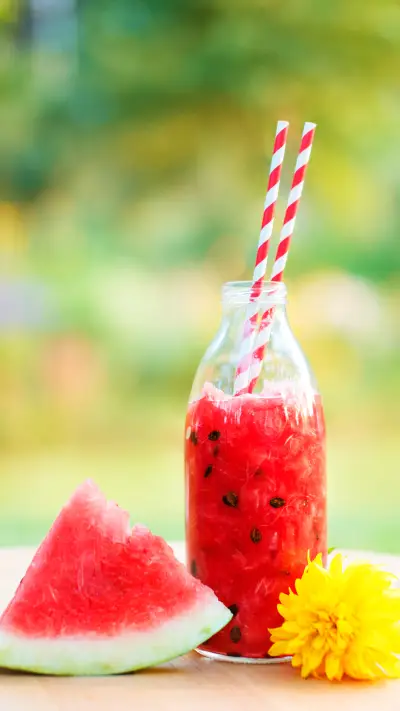 india-watermelon - Screenshot 1