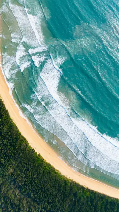 The wound of a woman bitten by a snake has been exposed