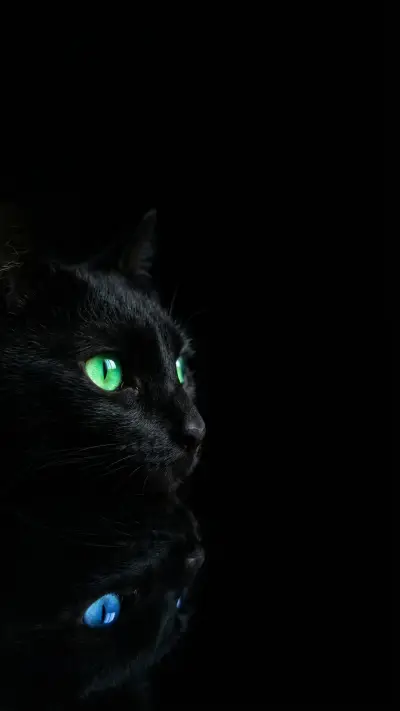 Luminous Dual Tone Cat Eyes