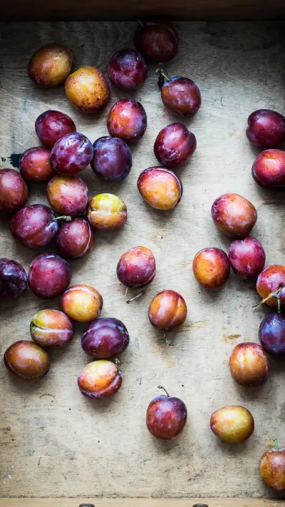 international_food (3)