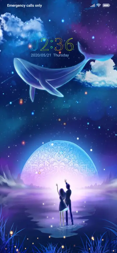 Whale THEME for Xiaomi MIUI HyperOS