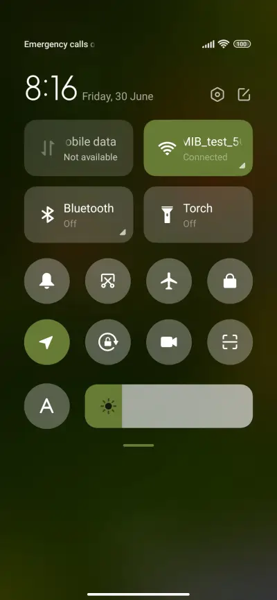 summer garden - Screenshot 5