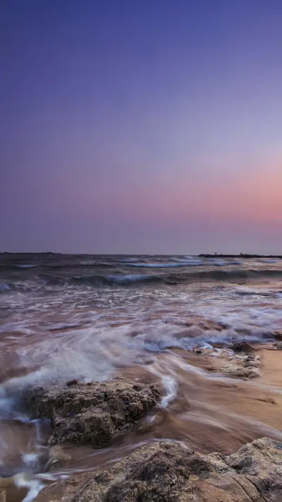 City in the name of vegetables 05