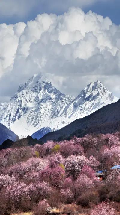 Beautiful Scenery on Snowy Mountains