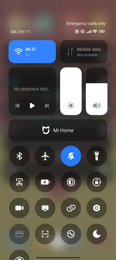 Spring Lucky Cat - Screenshot 5