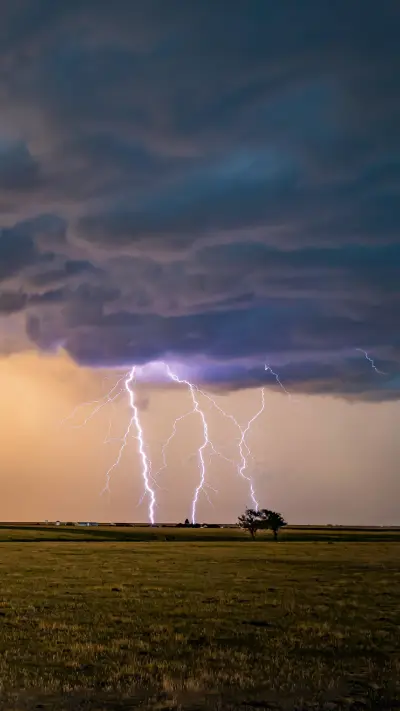 Thunder And Lightning Fell on The Grassland