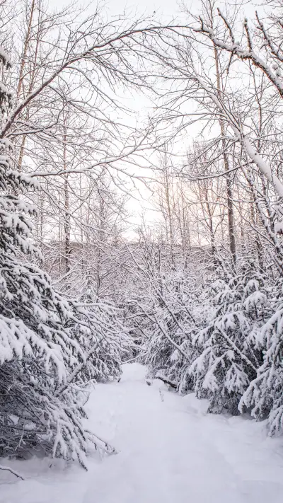 Winter Snow Scenery - Screenshot 1