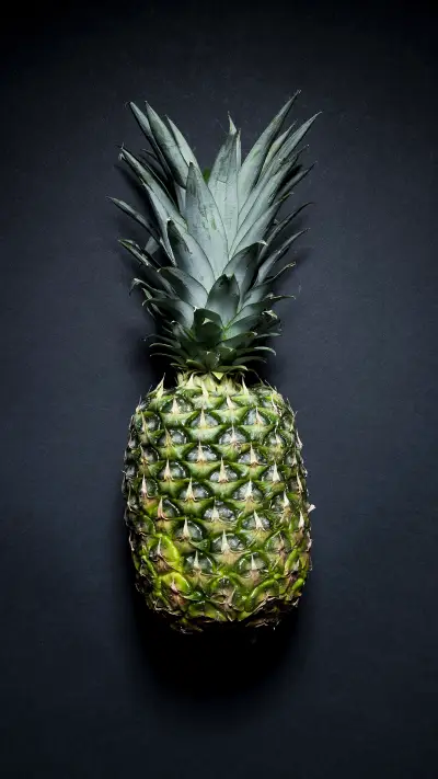 pineapple (3)