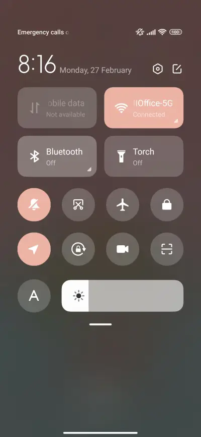 Cat cat bouquet - Screenshot 6