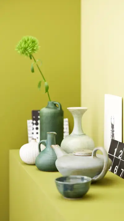 To furnish in green shades