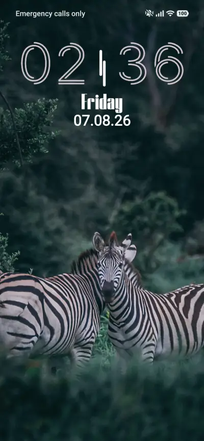 Zebra THEME for Xiaomi MIUI HyperOS
