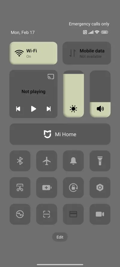 Green Theme - Screenshot 5