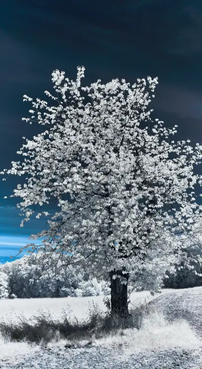 New in July (5) - Screenshot 1