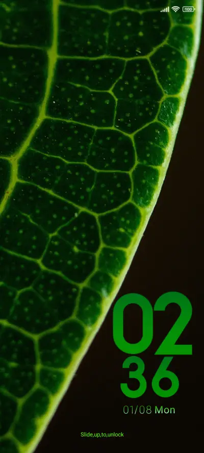 macro leaf