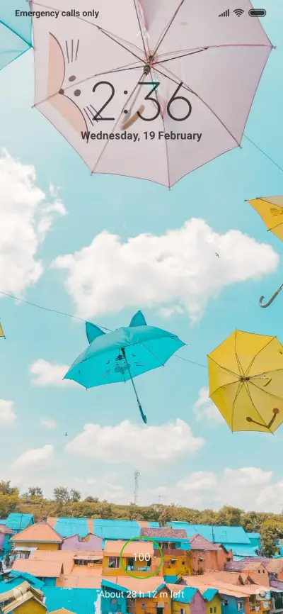 Official MIUI Theme_100 - Screenshot 1