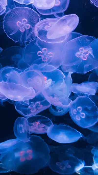 Underwater jellyfish - Screenshot 1