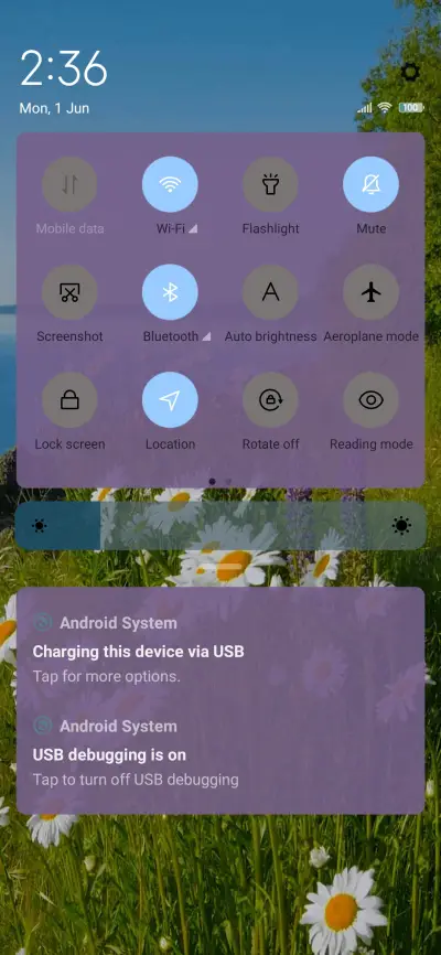 Seaside flower - Screenshot 5