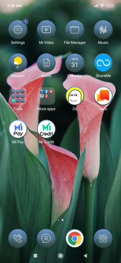 Tulips Flowers_3MDS - Screenshot 3