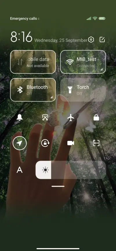 Exquisite Ding Dal - Screenshot 6