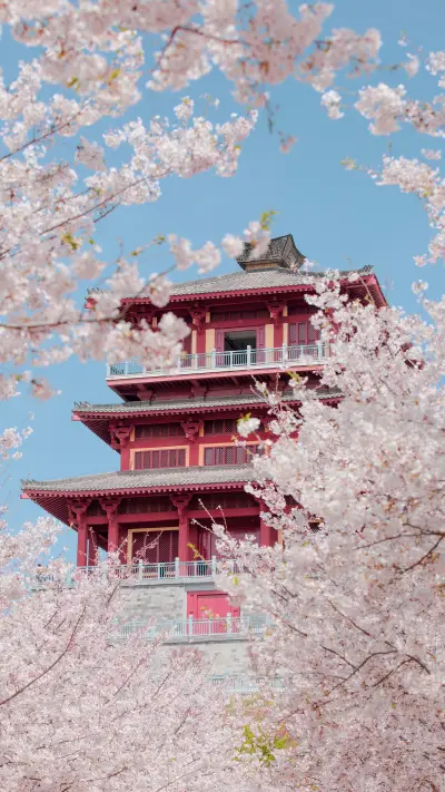 Spring Date with Zhengzhou 3