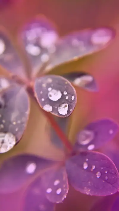 Natural scenery-04 - Screenshot 1