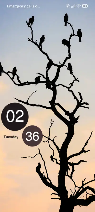 Birds - Screenshot 1