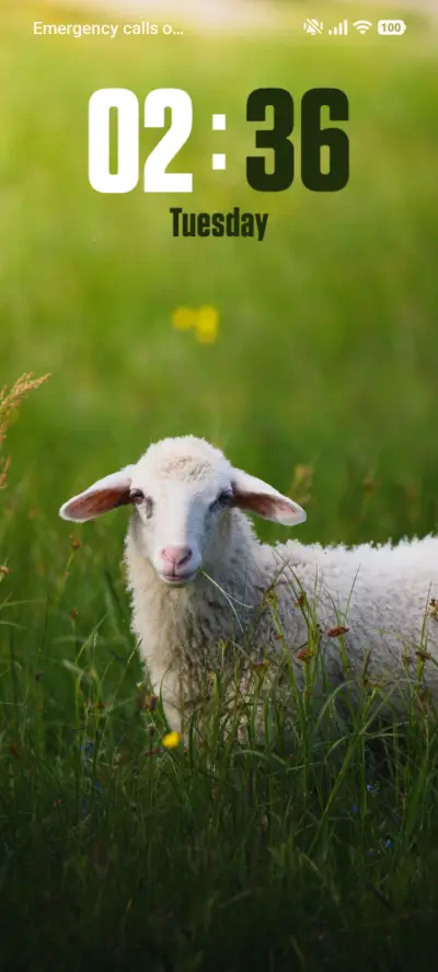 Sheep THEME for Xiaomi MIUI HyperOS