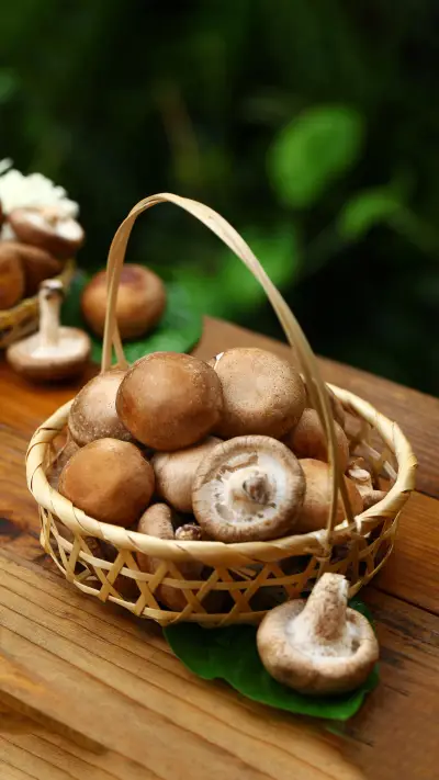 Where is the best place to eat shiitake mushrooms - Screenshot 1