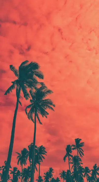 Red 2 (7) - Screenshot 1