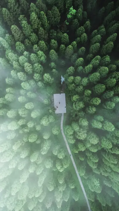 After sleeping for a while i became immortal