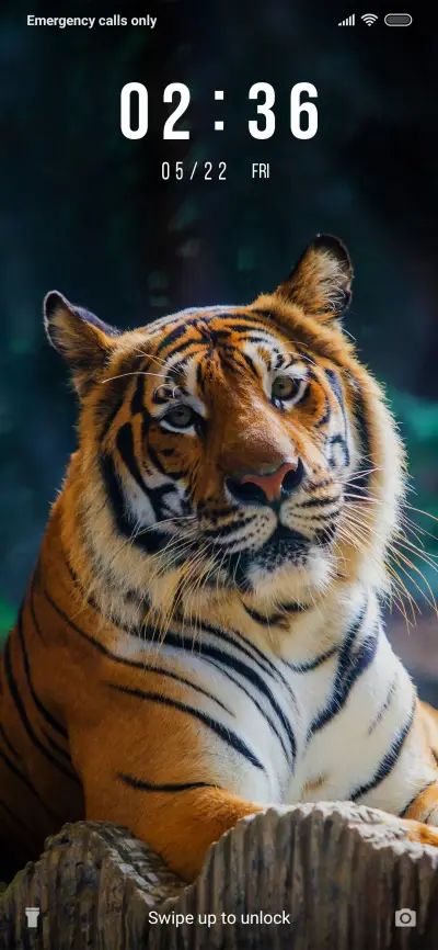 TigerFace_3MDP - Screenshot 1