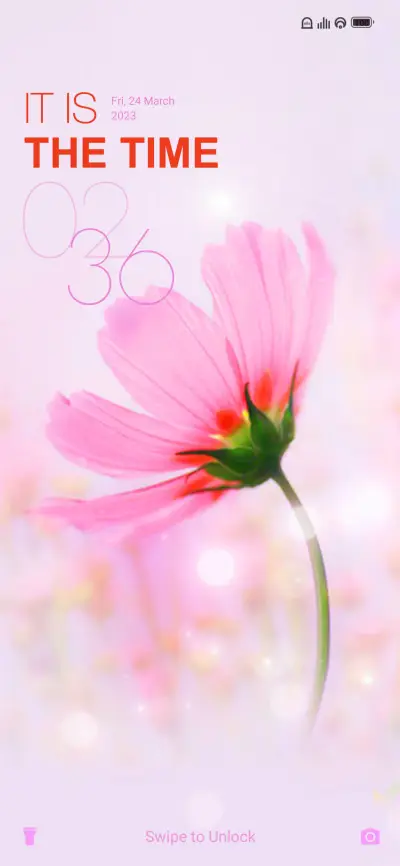 flor rosa M14