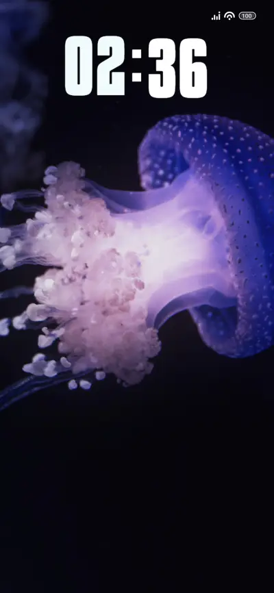 Jellyfish - Screenshot 1