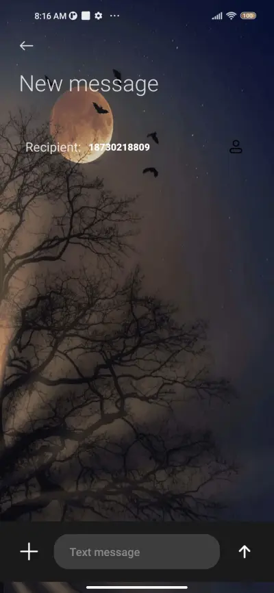 Night - Screenshot 8