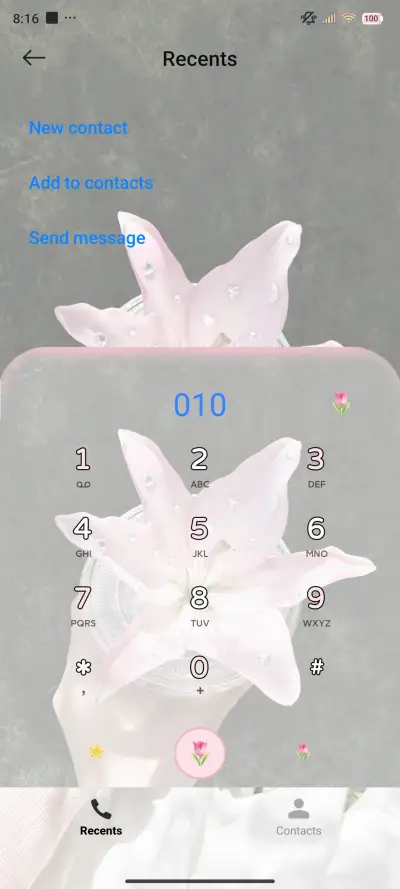 Flower and Girl - Screenshot 7