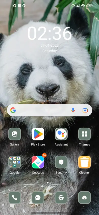 panda - Screenshot 2
