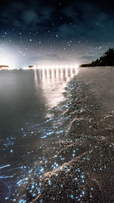 Maldives (13) - Screenshot 1