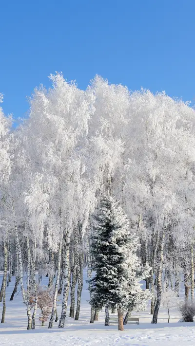 World of ice and snow