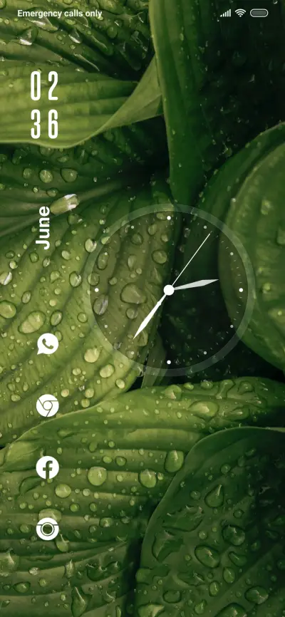 Nature Show - Screenshot 1