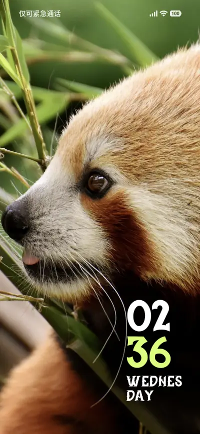 Cute Gazer