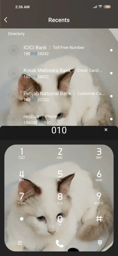 Lazy Cat - Screenshot 6