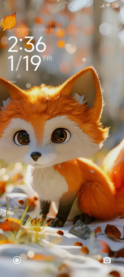 OrangeFox